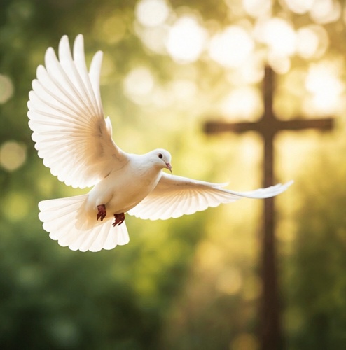 White dove in flight near a sunlit cross